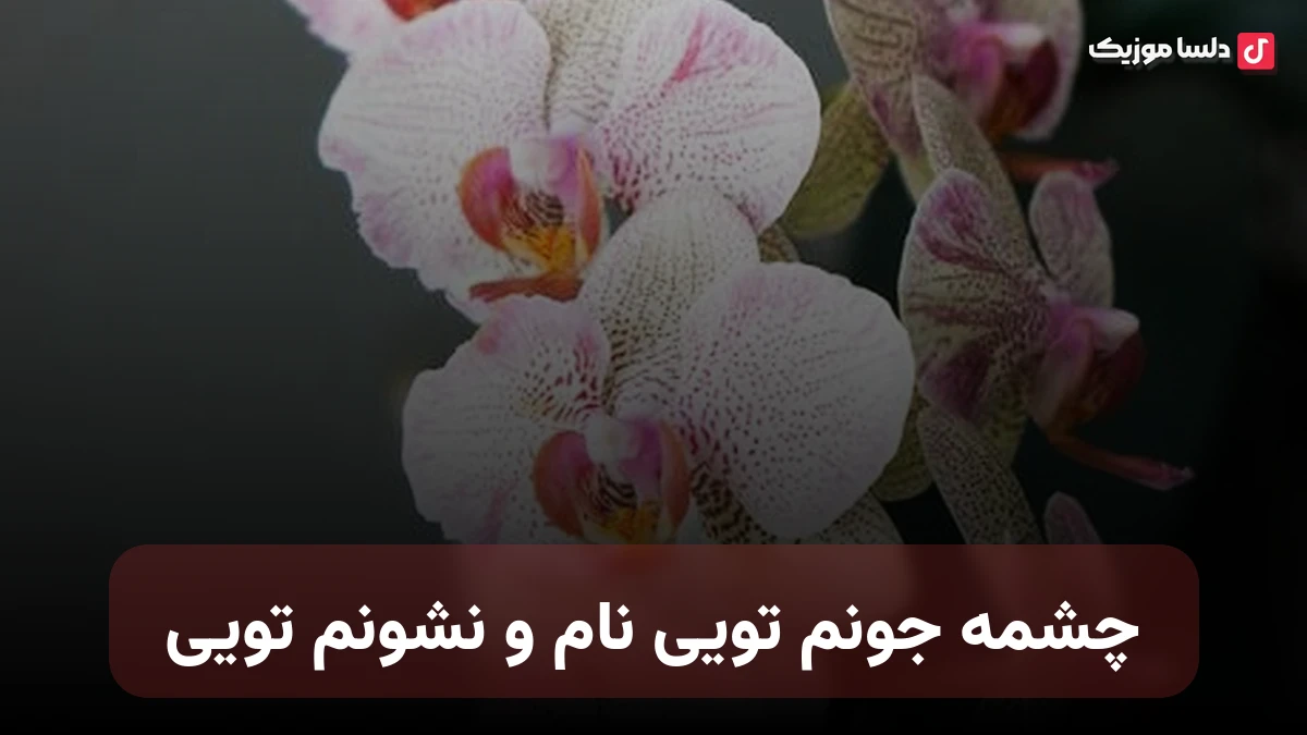 چشمه جونم تویی نام و نشونم تویی صدای زن